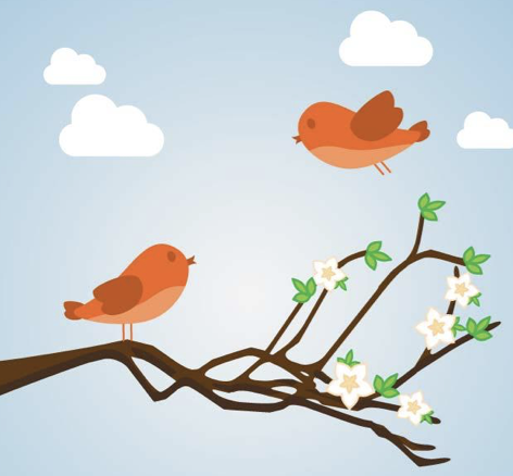 Gemensam vårstädning den 10/5